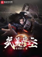 武盖星空封面