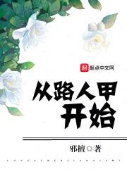 从路人甲开始封面