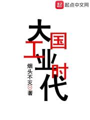 大国工业时代封面
