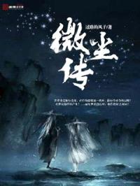 微尘传封面