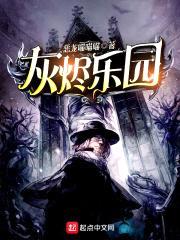 灰烬乐园封面