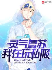 灵气复苏我在玩私服封面