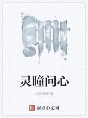 灵瞳问心封面