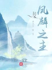 凤麟之主封面