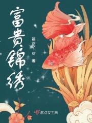 富贵锦绣封面
