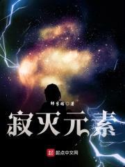 寂灭元素封面