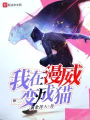 我在漫威变成猫封面