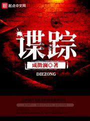 谍踪封面
