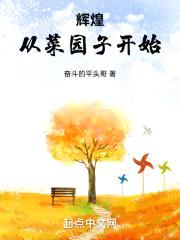 辉煌从菜园子开始封面