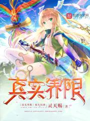 真实界限封面