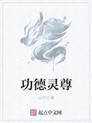 功德灵尊封面