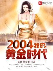 2004，我的黄金时代封面
