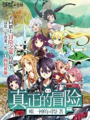 真正的冒险封面