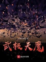 武极天魔封面