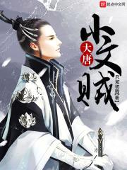 大唐小文贼封面