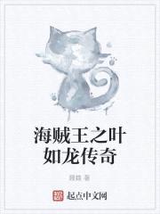 海贼王之叶如龙传奇封面