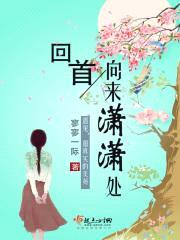 回首向来潇潇处封面