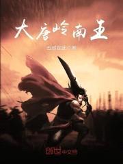 大唐岭南王封面