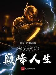 大时代之巅峰人生封面