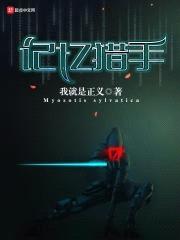 记忆猎手封面