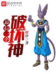 最后一个破坏神封面