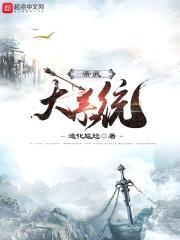 帝武大系统封面