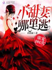 强宠101次：小甜妻，哪里逃封面