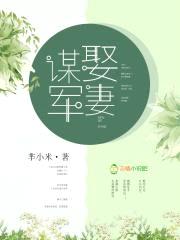 谋娶军妻封面