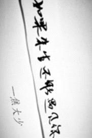 如果来生还能遇见你封面