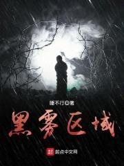 黑雾区域封面
