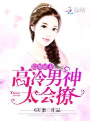 隐婚娇妻：高冷男神太会撩封面