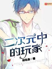 二次元中的玩家封面