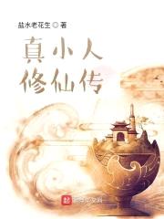真小人修仙传封面