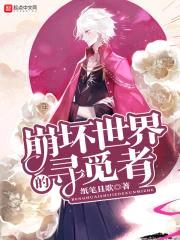 崩坏世界的寻觅者封面