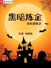 哈利波特之黑暗炼金封面