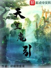 天罡魔引封面
