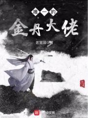唯一的金丹大佬封面