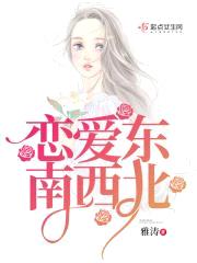 恋爱东南西北封面