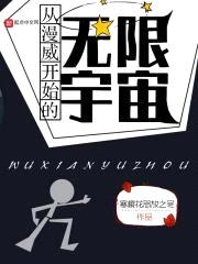 从漫威开始的无限宇宙封面