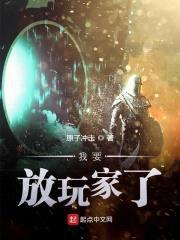 我要放玩家了封面