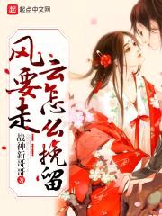 风要走云怎么挽留封面