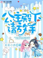 公主殿下请放手封面