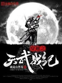 穿越之天武战纪封面