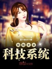 我有未来科技系统封面