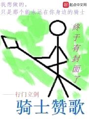 骑士赞歌封面