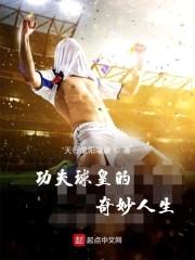 一代球皇之大帝传奇封面