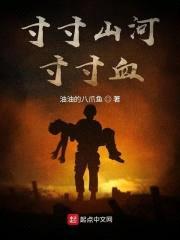 寸寸山河寸寸血封面