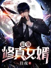 最强修真女婿封面