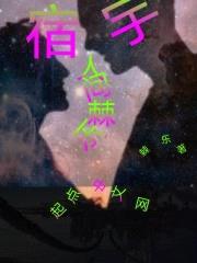 宿宇人间棘乐封面