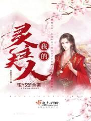 我的灵主夫人封面